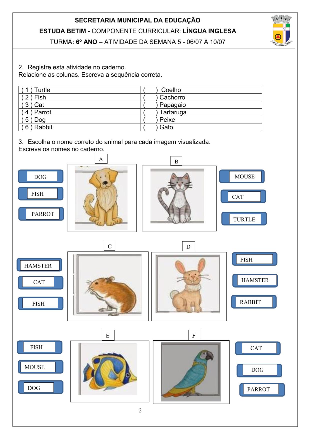 ING13 (1)-2